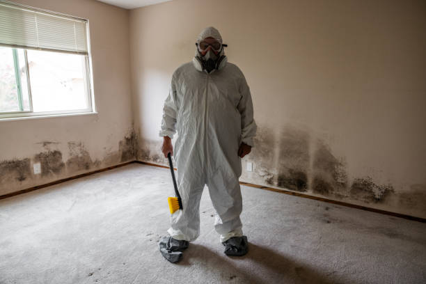 Best Mold Testing and Inspection Services in Dupont, PA